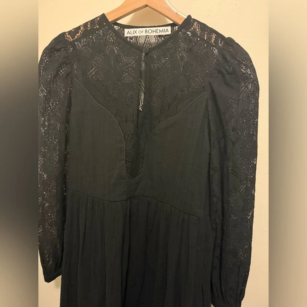 Alix of Bohemian Black Winslow Shadow Lace Dress